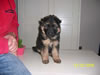 My Gallery: Image